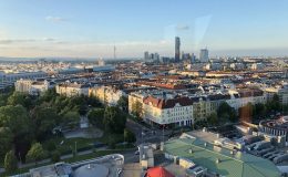IMG_2607