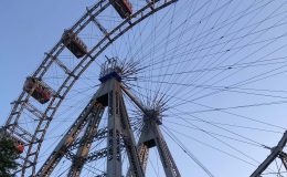 IMG_2610