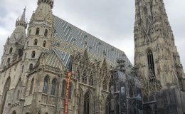 IMG_2635