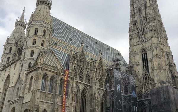 IMG_2635