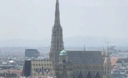 IMG_2647