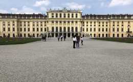 IMG_2653